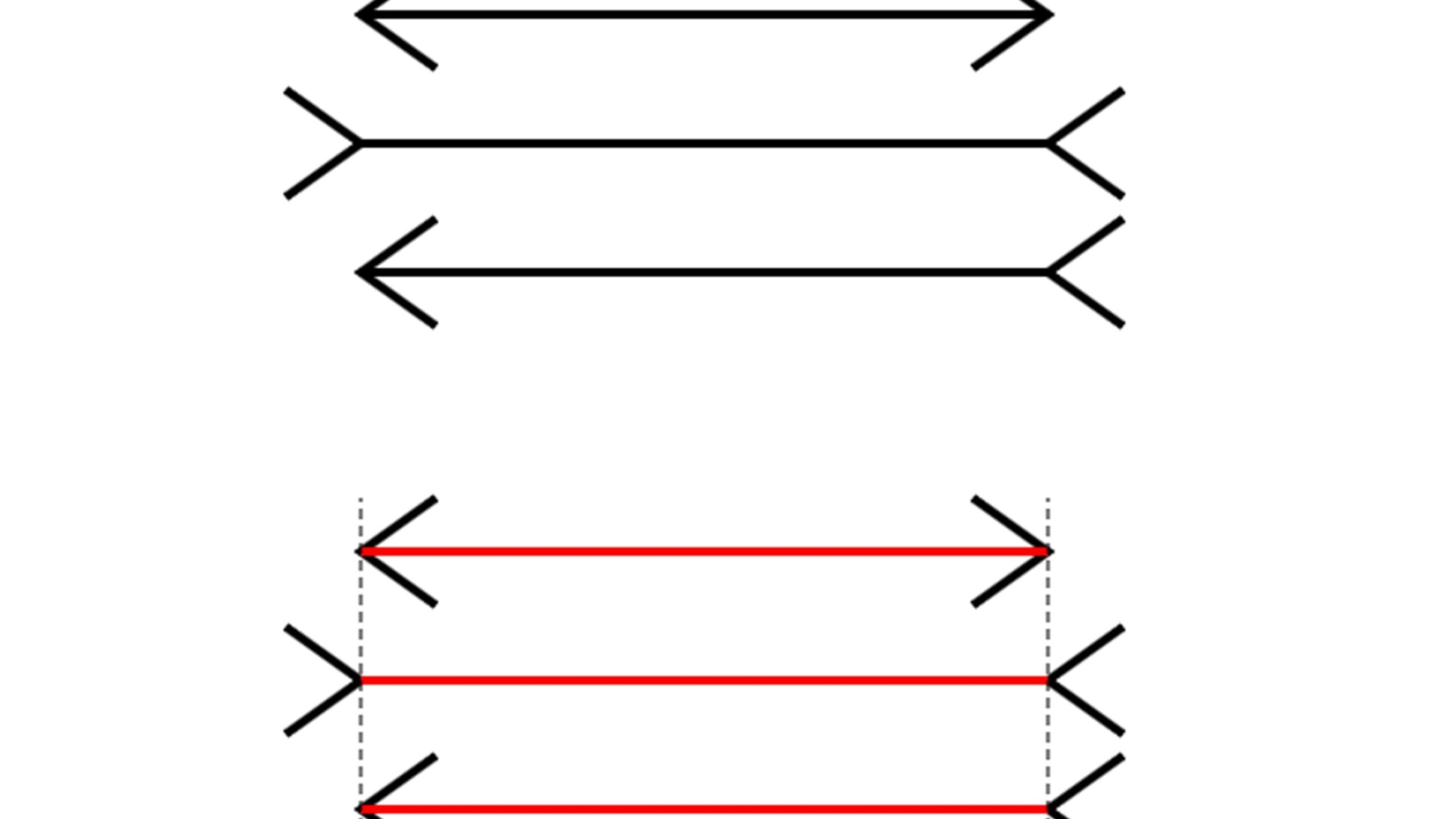 muller-lyer-illusion-5672bd393df78ccc15f7d08d.jpg