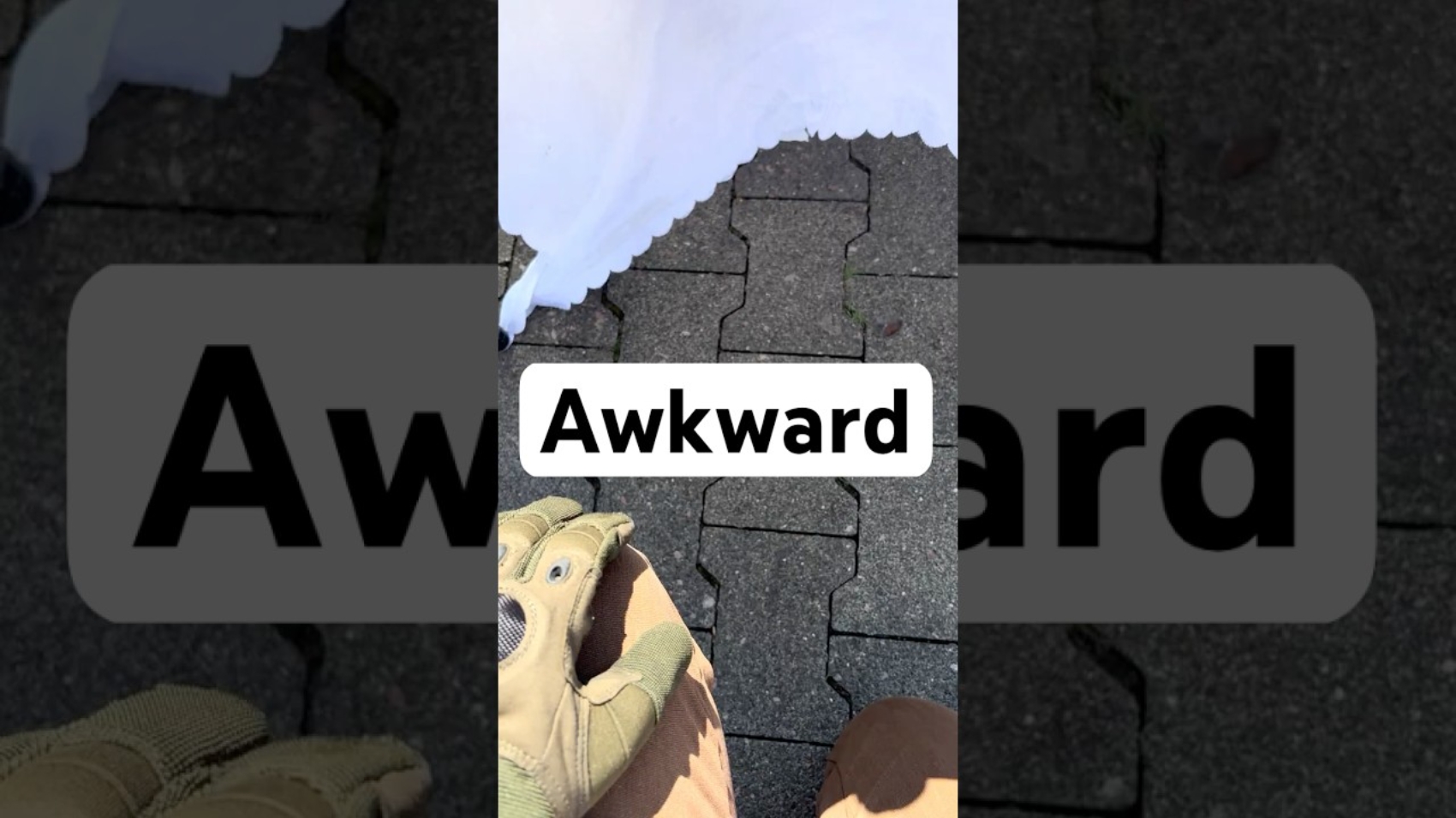 1785970493_maxresdefault.jpg